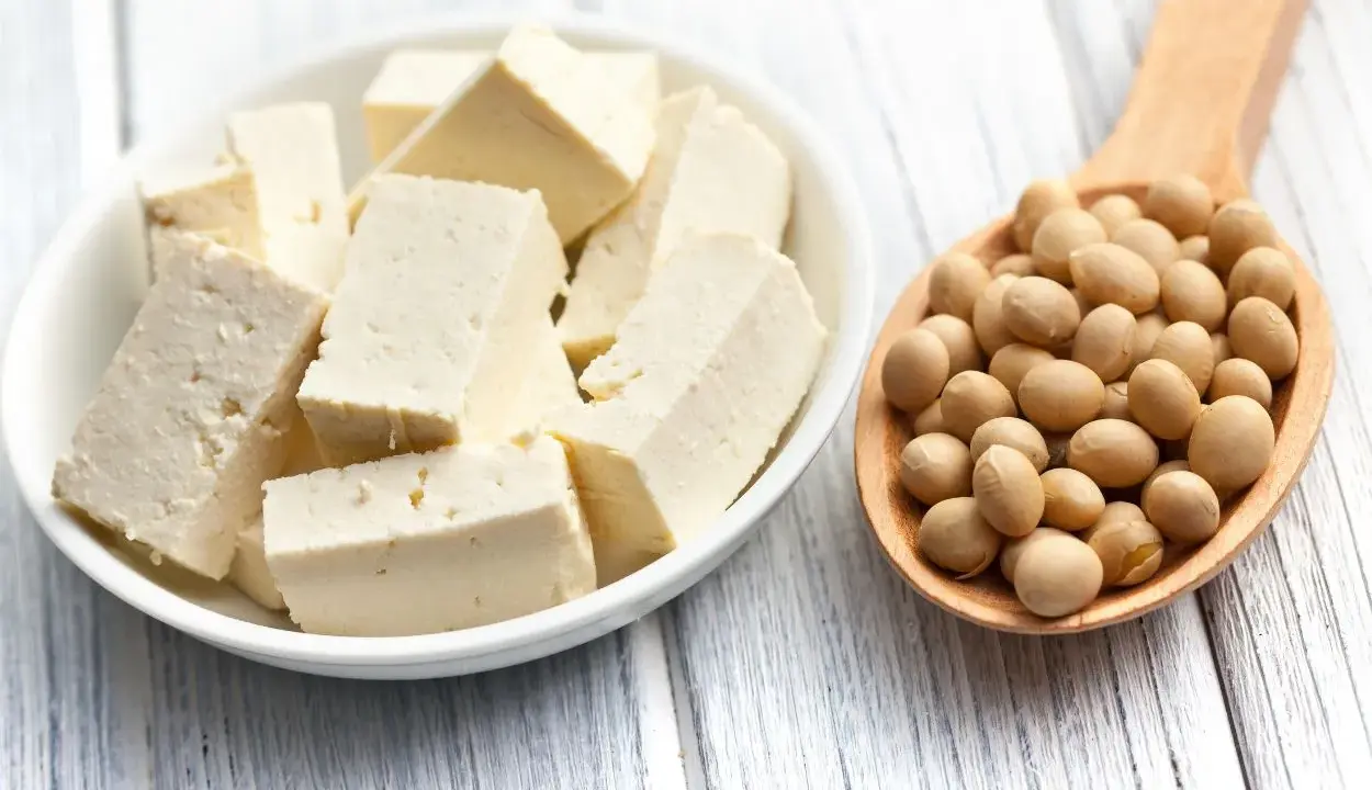 Tofu cortado en cubos en un bol blanco y una cuchara de madera llena de semillas de soja. ¿A qué sabe el tofu?