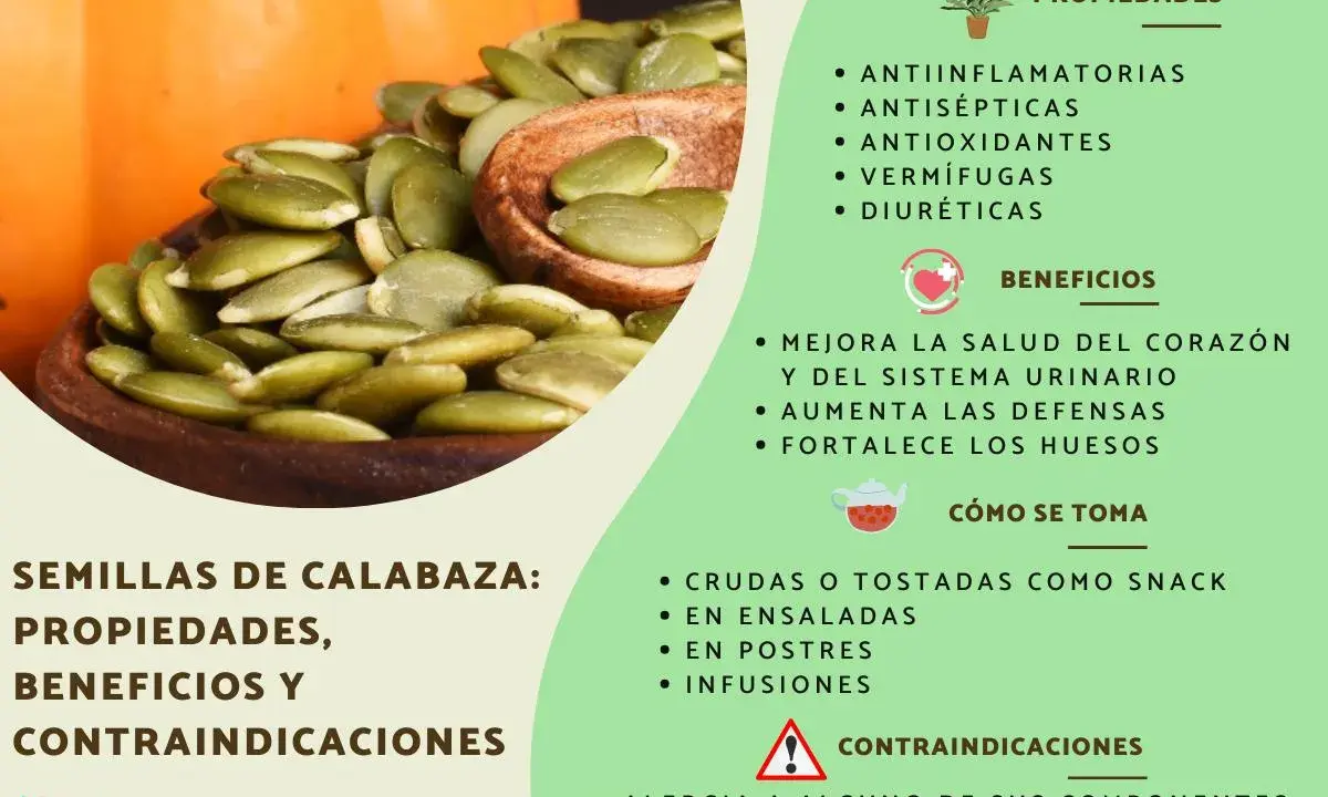 Semillas de calabaza: descubre sus beneficios para la salud, como mejorar el corazón y las defensas.