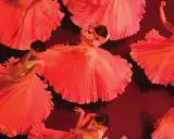 El yiyo bailaor, con faldas amplias y volantes, gira en un espectáculo de danza flamenca.