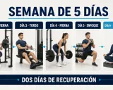 Rutina para perder peso: 5 días de entrenamiento (torso, pierna, torso, pierna, enfoque) y 2 días de recuperación activa y descanso.