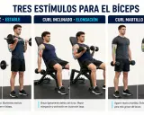 Hombre realizando curl con barra, curl inclinado y curl martillo para estimular el bíceps.
