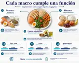 Plato con salmón, pollo, huevo, arroz, batata y aguacate. Guía sobre qué comer después de entrenar, enfocada en proteínas, hidratos y grasas.