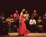 Bailaora flamenca en vestido rojo, acompañada por guitarrista y palmas. Un espectáculo de mejor flamenco.