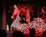 Bailarina flamenca con vestido de lunares, guitarrista y palmas. El sonido flamenco llena el ambiente.