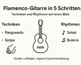 Ilustración de guitarra flamenca con técnicas como rasgueado y golpe, y ritmos como Soleá y Buleria.