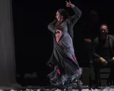 Una bailaora de flamenco en pleno movimiento, con su falda ondeando y un hombre sentado observando.