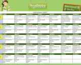 Menú mensual familiar con recetas fit. Incluye comidas y cenas diarias para varias semanas, con opciones saludables y variadas.