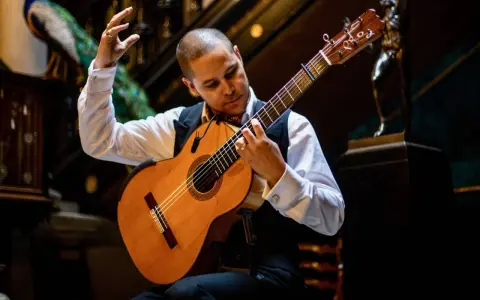 Un guitarrista flamenco interpreta las mejores letras, con pasión y arte, mientras un pavo real observa atentamente.