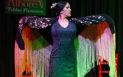Una bailaora flamenca, con un mantón bordado y flecos de colores, se prepara para su actuación en el tablao Alborea.