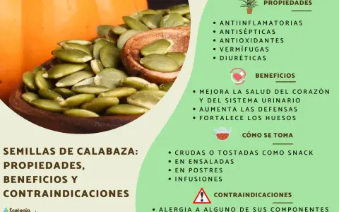Semillas de calabaza: descubre sus beneficios para la salud, como mejorar el corazón y las defensas.
