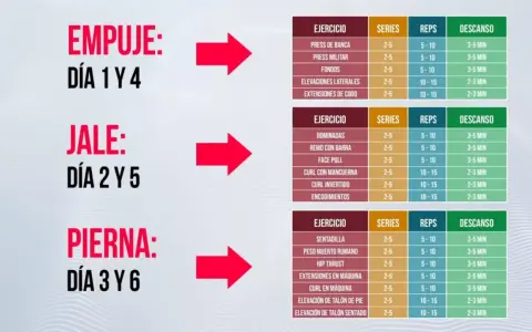 Rutina de gym dividida: Empuje (Día 1 y 4), Jale (Día 2 y 5), Pierna (Día 3 y 6). Incluye ejercicios, series, repeticiones y descanso.