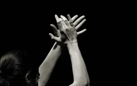 Manos en movimiento, creando ritmos con palmeros flamencos. La pasión del flamenco se siente en cada gesto.