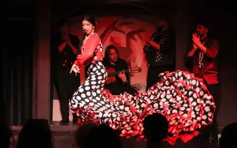 Bailarina flamenca con vestido de lunares, guitarrista y palmas. El sonido flamenco llena el ambiente.