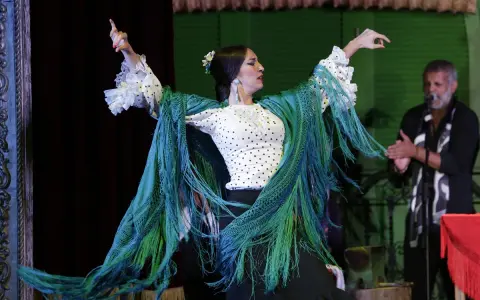 Bailarina de flamenco con mantón verde vibrante, sus movimientos evocan frases flamenco. Un hombre aplaude al fondo.