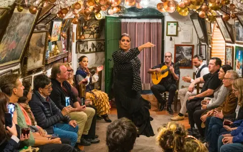 Una bailaora de flamenco, con un vestido negro de lunares, actúa en un local íntimo donde se baila flamenco. Un guitarrista la acompaña.