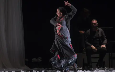 Una bailaora de flamenco en pleno movimiento, con su falda ondeando y un hombre sentado observando.