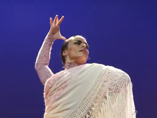 Bailarina de flamenco con un mantón, su expresión y gesto transmiten el profundo flamenco dance meaning.