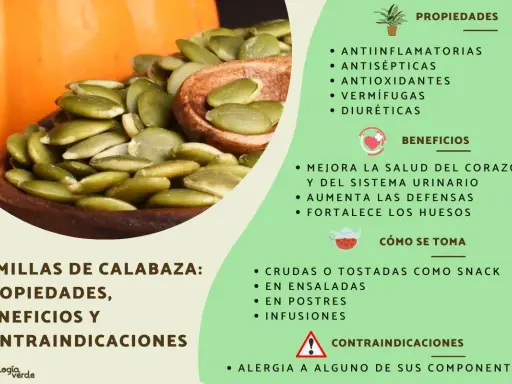 Semillas de calabaza: descubre sus beneficios para la salud, como mejorar el corazón y las defensas.