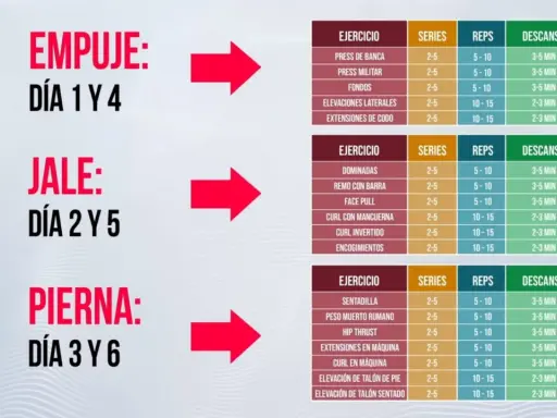 Rutina de gym dividida: Empuje (Día 1 y 4), Jale (Día 2 y 5), Pierna (Día 3 y 6). Incluye ejercicios, series, repeticiones y descanso.