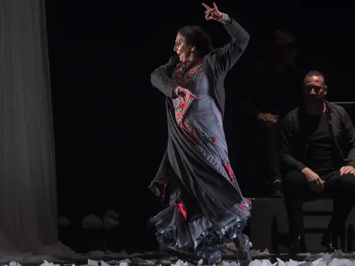 Una bailaora de flamenco en pleno movimiento, con su falda ondeando y un hombre sentado observando.