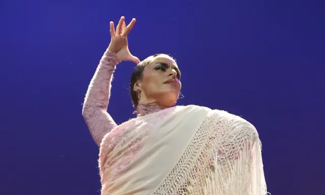 Bailarina de flamenco con un mantón, su expresión y gesto transmiten el profundo flamenco dance meaning.