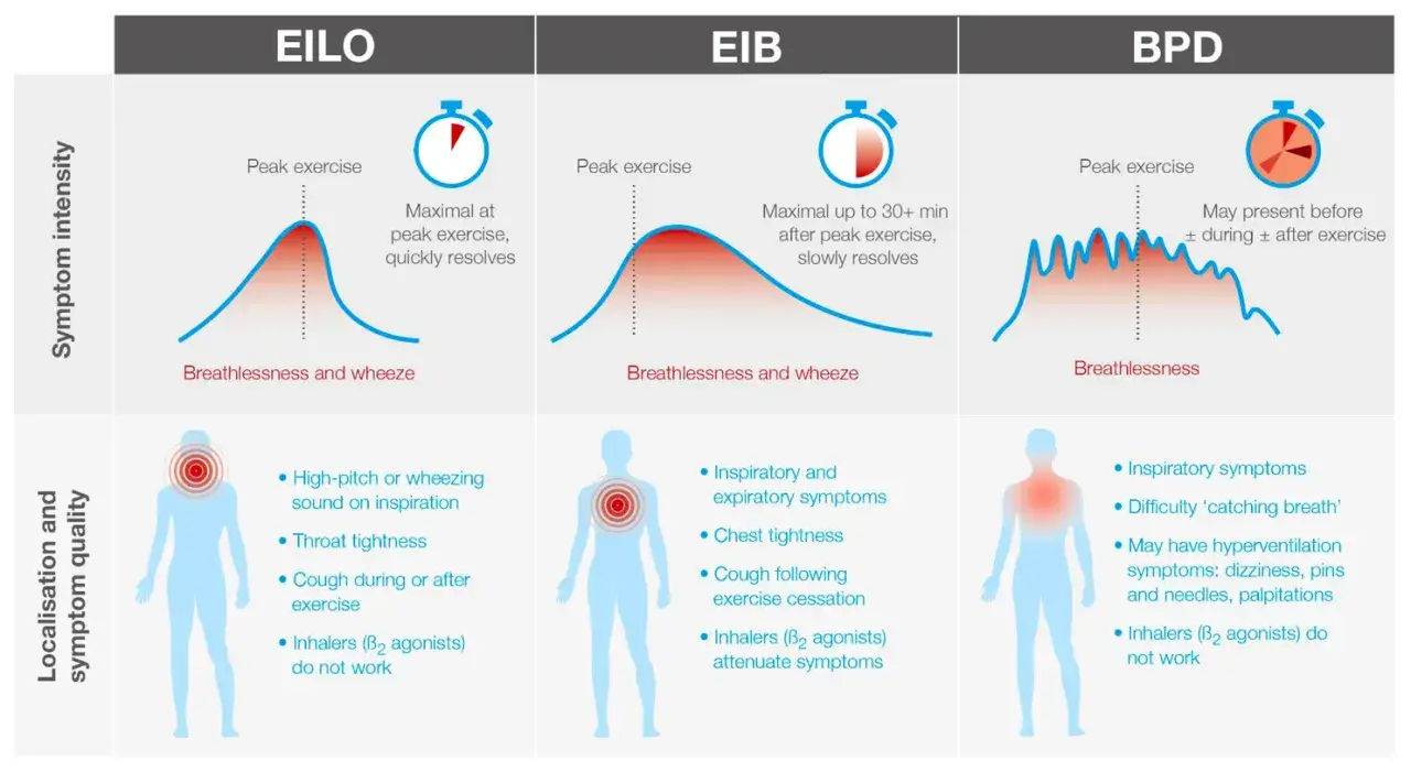 Gr&aacute;fica compara EILO, EIB y BPD. Muestra falta de aire y dolor de pecho al hacer ejercicio, con s&iacute;ntomas y su intensidad.