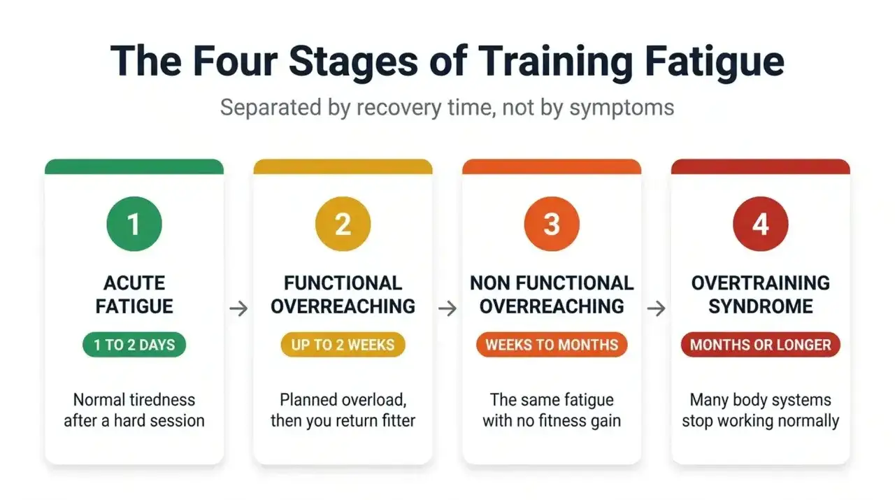 Las cuatro etapas de la fatiga del entrenamiento: fatiga aguda, sobreesfuerzo funcional, sobreesfuerzo no funcional y síndrome de sobreentrenamiento, con sus síntomas.