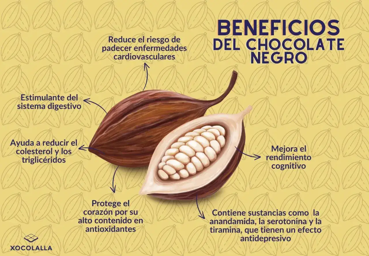 Ilustraci&oacute;n de granos de cacao y sus beneficios: reduce riesgo cardiovascular, mejora cognici&oacute;n, protege coraz&oacute;n, estimula digesti&oacute;n y ayuda con colesterol. Propiedades del chocolate negro.